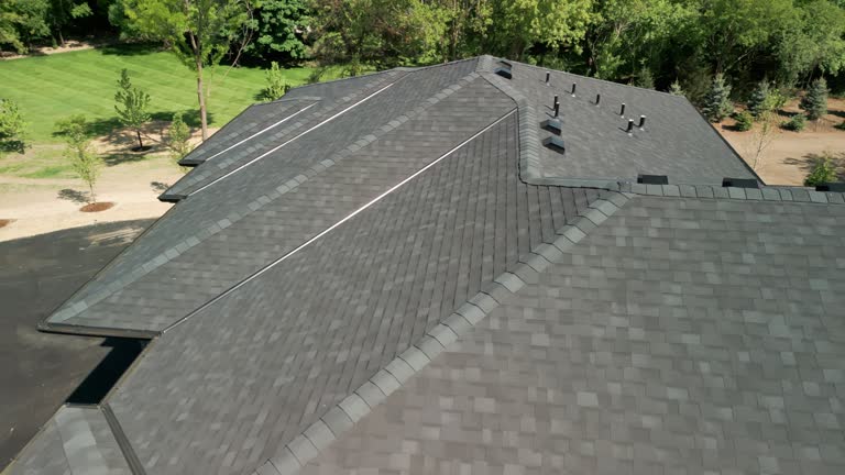 Best Solar Panel Roofing Installation  in Bellevue, ID