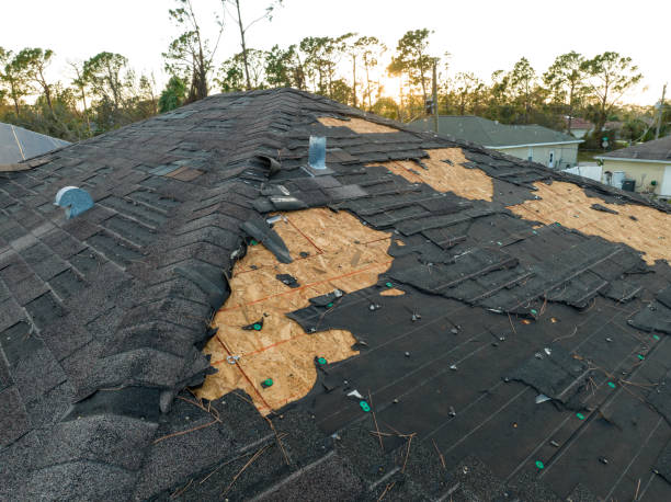 Best Rubber Roofing (EPDM, TPO)  in Bellevue, ID